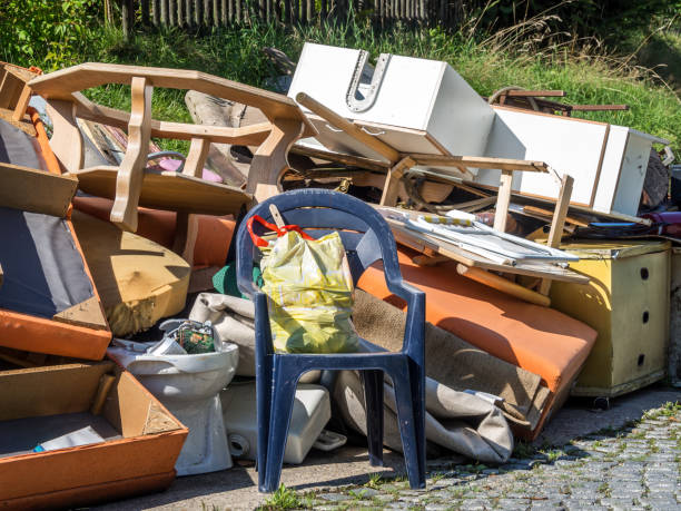 Best Professional Junk Removal  in Sterling, GA
