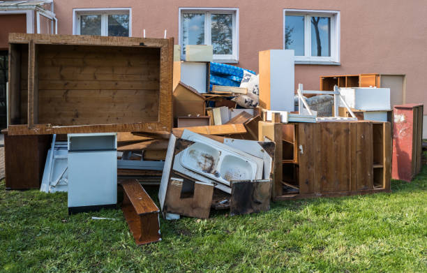 Yard Cleanup Services in Sterling, GA